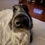 Janet Ogden - @janet.ogden.315 - Instagram