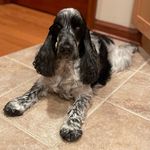 Janet Ogden - @mojo_oggie - Instagram