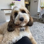 Janet Ogden - @prinny1066 - Instagram