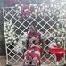 Janet Osman - Facebook