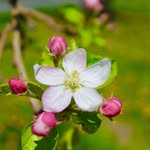 Janet Boyer - @janetboyer42 - Instagram