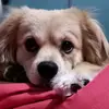 JanetPaireTorito - @janet.paire.torito - TikTok