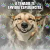 Janet Palma - @esperancita1975 - TikTok