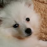 Janet Palumbo - @janet.palumbo.528 - Instagram