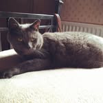 janet parnell - @parnell8738 - Instagram