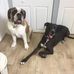 Janet Parsley - Facebook