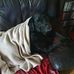 Janet Pascoe - Facebook