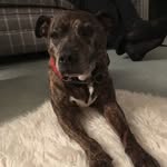 Janet Pasley - @janetpasley - Instagram