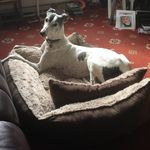 Janet Patchett - @patchettjanet - Instagram