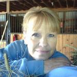 Janet Pate Harris - @horsin44 - Instagram