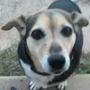 janettepate - @janettepate - TikTok