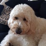 Janet Patten - @janetatw - Instagram