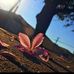 Janeth Patzan - Facebook