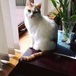 Janet Patterson - @janet3410 - Instagram