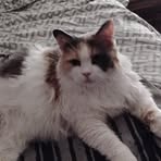 Janet Patterson - Facebook