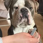 Janet Patterson - Facebook