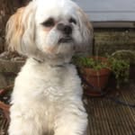 Janet Pattinson - @janet.pattinson.52 - Instagram