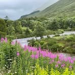 Janet Pattison - Facebook
