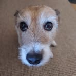 Janet Pattison - Facebook