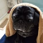 Janet Pattison Kasper - @janet.pattison.kasper - Instagram