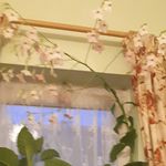Janet Payne - @janet.payne.792 - Instagram