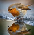 Janet Payne - Facebook