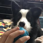 Janet Pearce - @janet.pearce.10048 - Instagram