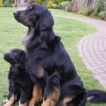 Janet Pearce - @bowwowwow41 - Instagram