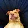 KrystalJanetMariePearce - @krystaljanetmariepearce4 - TikTok