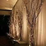 Special Event Planning - @janetpearce35 - Instagram
