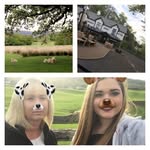 Janet Peck - @janetpeckk - Instagram