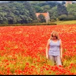Janet Peck - @lavenderartistbeds - Instagram