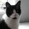 janetpeckham6 - @janetpeckham6 - TikTok