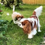 Janet Peden - @janet.peden.98 - Instagram