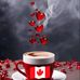 Janet Pelletier - Facebook