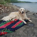 Janet Wittmer-Pelletier - @wittmerpelletier - Instagram