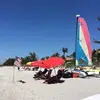 Janet Pelletier - @janetpelletier - TikTok