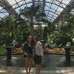 Janet Peluso - @aunniepeluso - Instagram