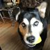 Janet Pelzel - Facebook