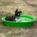 Janet Pelzel - Facebook
