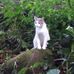 Janet Pence - Facebook