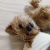 Janet Pendergrass - Facebook