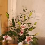 Janet Penman - Facebook