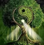 Janet Penman - Facebook