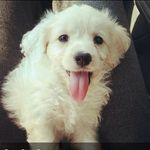 Janet R. Pennell - @janet.r.pennell - Instagram