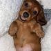 Janet Pennington - Facebook