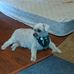 Janet Pennington - Facebook