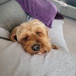 Janet Pennington - @janetpennington836 - Instagram