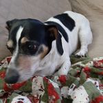 Janet Pennington Lain - @janetlain - Instagram