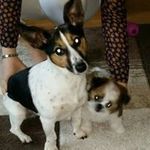Janet Peoples - @janet.peoples.395 - Instagram